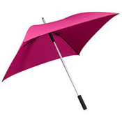 ô-dù-giá-gốc